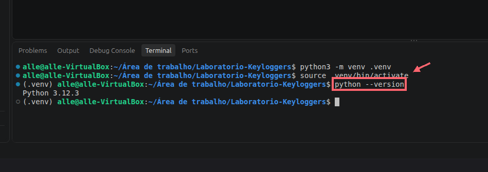 Comando python --version destacado por um contorno coral e uma seta no terminal; a saída visível é Python 3.12.3.