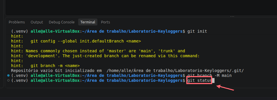 Comando git status digitado no terminal integrado, destacado por um contorno coral e uma seta.